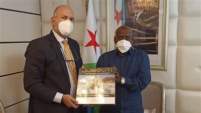 تعاون في الصحة والطاقة.. رئيس الوزراء الجيبوتي يشيد بزخم العلاقات مع مصر