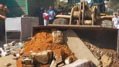 إزالة 94 حالة تعدٍ على الأراضي الزراعية بالشرقية