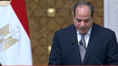 السيسي: اتفقت مع الرئيس الروماني على زيادة حجم التجارة بين البلدين