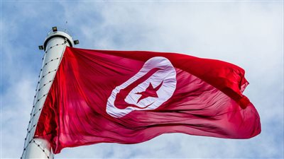 بدء إجراءات الاستفتاء على الدستور التونسي بـ 161 مرشحًا.. واستبعاد 8 جهات من المشاركة 