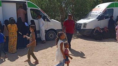 الكشف على 2024 مواطن من خلال قوافل طبية بقرى نصر النوبة بأسوان  