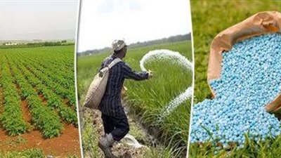 أستاذ اقتصاد زراعي: ارتفاع غير مسبوق في أسعار الأسمدة.. وضرورة تدخل الدولة لهذا السبب