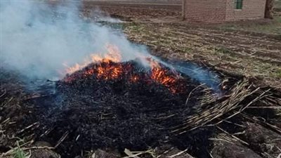 تحرير 153 محضر مخالفة بيئية لحرق المخلفات الزراعية بسوهاج