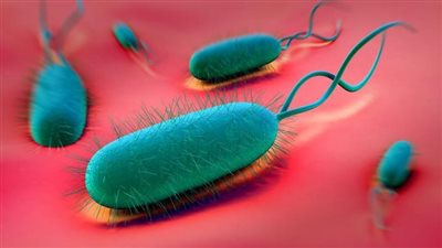 أعراض جرثومة المعدة بالتفصيل.. آلام عضوية ونفسية تعرف عليها