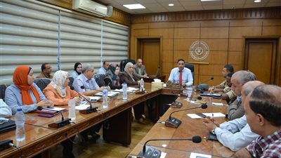 محافظ الدقهلية يوجه بتذليل العقبات لـ استكمال مشروعات حياة كريمة