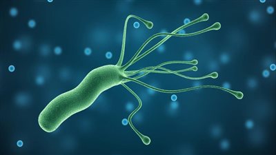 6 نصائح لـ علاج جرثومة المعدة نهائيا.. وكيفية استخدام الثوم والعسل