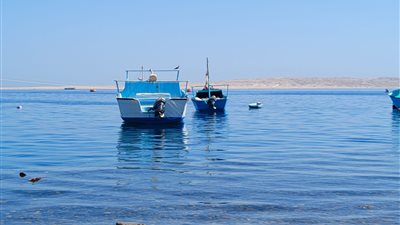 رغم تحذيرات الأرصاد.. استقرار حالة الطقس بالبحر الأحمر وهدوء في حركة الرياح | صور وفيديو