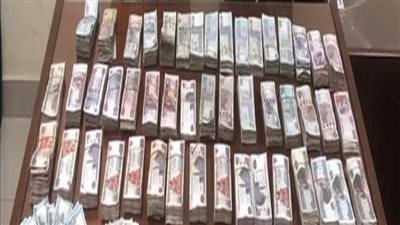 ضبط شخص لاتهامه بالاتجار بالنقد الأجنبي خارج السوق المصرفي بالدقهلية
