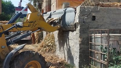 إزالة 27 حالة تعد على أراضي أملاك دولة وري وزراعة بأسيوط 