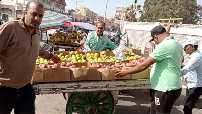 حملات موسعة لإزالة الإشغالات والتعديات لتسهيل أعمال التطوير بضواحي بورسعيد | صور