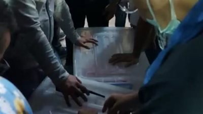 عبد التواب رئيسًا والجاحد نائبًا.. تعرف على نتائج انتخابات نادي قارون الرياضي بالفيوم