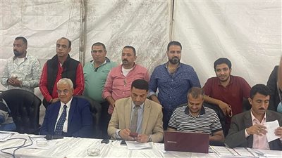 أبو العينين رئيسًا والكردي نائبًا.. ننشر أسماء الفائزين في انتخابات نادي الرواد