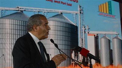 مصيلحي: مبادرة لتخزين إنتاج الدول من القمح في صوامع مصر 