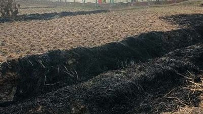 كيف نجحت البيئة في القضاء على أزمة السحابة السوداء خلال 7 سنوات؟ 