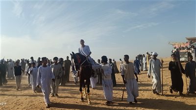 اليوم.. سباق المرماح احتفالًا بليلة الشيخ علي منصور بأسوان