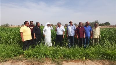 الزراعة: ختام فعاليات زيارة مدير عام أكساد ورئيس مركز بحوث الصحراء لمحافظة جنوب سيناء