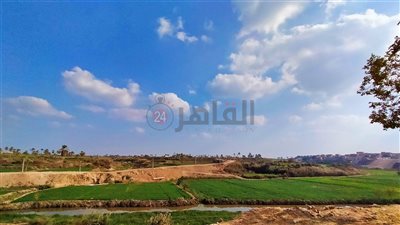 بعد سقوط أمطار خفيفة أمس.. تحسن نسبي في طقس الفيوم اليوم 