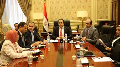 رياضة النواب توصي رئيس الوزراء بتفويض المحافظين في عملية استبدال أراضي مراكز الشباب 