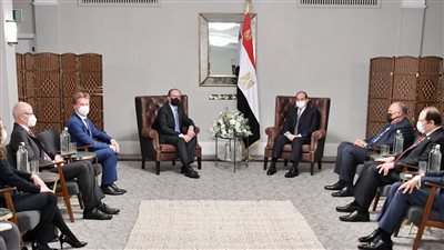 الرئيس السيسي يلتقي المستشار النمساوي ألكسندر شالنبرج
