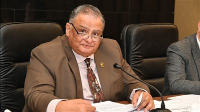 دستورية النواب تؤجل مناقشات تعديلات الحكومة على قانون الطفل لأخذ رأي المجلس القومي للأمومة 