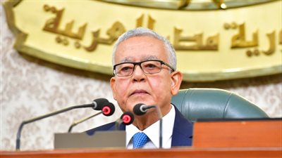 مجلس النواب يوافق على تشكيل مجلس أعلى لصناعة السيارات برئاسة رئيس الوزراء