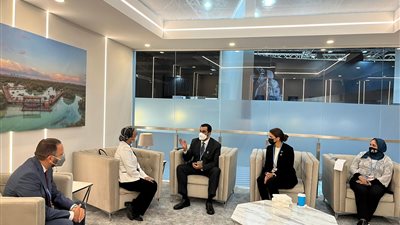 تفاصيل اجتماع ياسمين فؤاد مع وزيري البيئة والصناعة بالإمارات