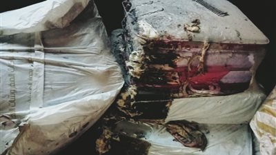 ننشر الصور الأولى من موقع حرق فتاة على يد شقيقها بالدقهلية بسب خلافات الميراث | صور 