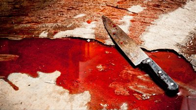  تركها غارقة في دمائها.. اليوم محاكمة شاب قتل زوجته في الخصوص بالقليوبية