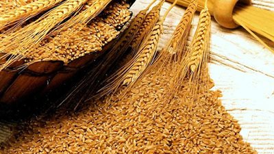 مستشار التموين الأسبق: تكلفة استيراد القمح ستزيد مليار جنيه حال تصاعد التوترات بين روسيا وأوكرانيا | خاص