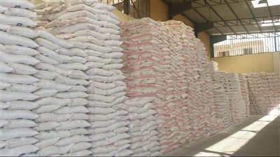 تموين الإسكندرية: ضبط 300 طن سكر ودقيق دون مستندات داخل مخزن بأبيس