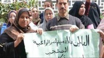 اليوم مجلس النواب يناقش طلب إحاطة بشأن تثبيت عمال التشجير| مستند