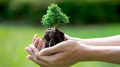 اتحضر للأخضر وإعادة تدوير المخلفات.. التعليم تبرز جهود الدولة لحماية موارد البيئة ضمن مناهج الرابع الابتدائي