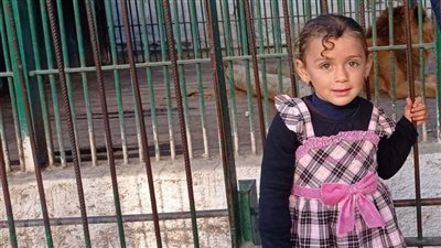 أسرة بالفيوم تدشن هاشتاج بعد اختفاء أم وطفلتها في ظروف غامضة | صور