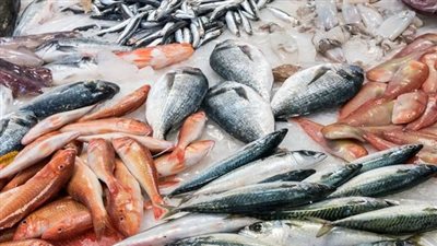 استقرار في أسعار الأسماك اليوم الأربعاء 10-11-2021