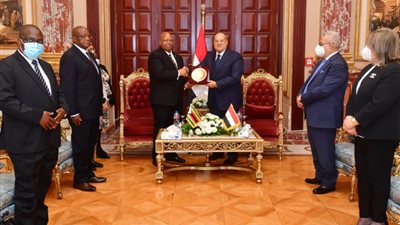 رئيس الشيوخ يستقبل رئيس برلمان زيمبابوي | صور 