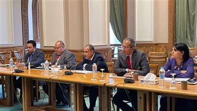 تعاون مصري سويسري لتنمية العلاقات على كافة المستويات | صور