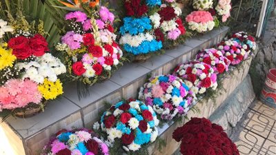 بائعو الزهور بالدقهلية في عيد الحب: الوردة بـ5 جنيهات علشان الناس تتبسط