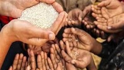 خبراء يتوقعون حدوث أزمة غذاء عالمي يناير المقبل بسبب ضعف سلاسل التوريد 