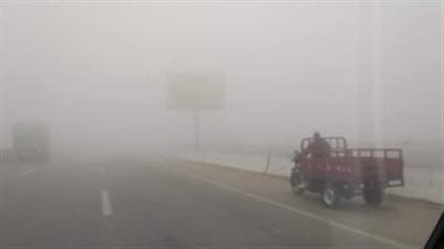 الأرصاد الجوية: استمرار سقوط الأمطار.. وتحذير من تكوّن ضباب على الطرق