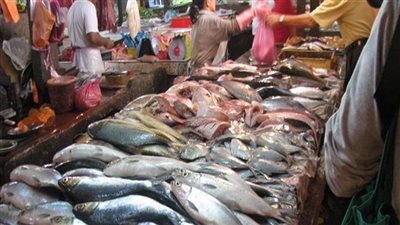 استقرار في أسعار الأسماك بالأسواق اليوم الجمعة 5-11-2021