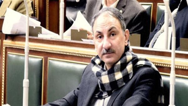 النائب مجدي ملك عضو