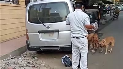 حتى لا يتضورون جوعا.. أمين شرطة يطعم كلاب الشوارع خلال تأدية الخدمة