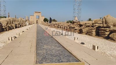 رئيس هيئة آثار مصر العليا: العثور على 5 رؤوس لـ أبو الهول للملك نختنبو بطريق الكباش ضمن الاكتشافات الأخيرة