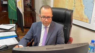 حماية المدنيين في الصراعات المسلحة.. مصر ترأس جلسة مجلس السلم والأمن الإفريقي | صور