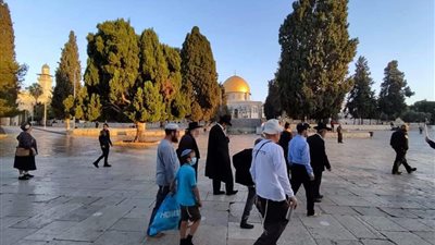 ليس لليهود ذرة تراب واحدة فيه.. مرصد الأزهر: 2200 صهيوني اقتحموا ساحات الأقصى أكتوبر الماضي 