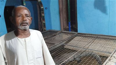 في كل بيت واحد.. أهالي غرب سهيل: تربية التمساح مبتكلفش ومبياكلش بالشهور 