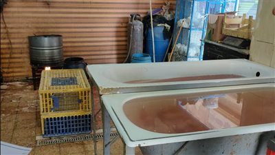 إعدام 2 طن أغذية فاسدة وتشميع 18 منشأة مخالفة بالشرقية | صور