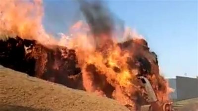 السيطرة على حريق نشب في مخزن قش أرز بقرية نهطاي بالغربية | صور