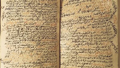 الأعلى للآثار: راكب مصري وراء محاولة تهريب مخطوطات أثرية إلى تركيا