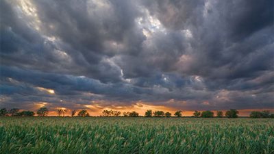  الحرارة الشديدة هي الوضع الطبيعي الجديد للمحيطات | دراسة